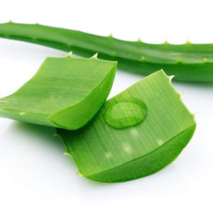 Aloevera - each