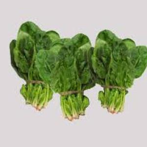 Baby Spinach - Bunch
