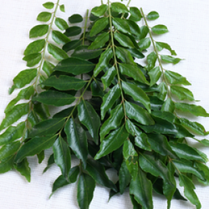 Curry Leaves Bag - Bag