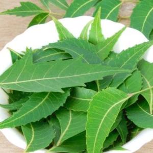 Neem Leaves (Bag)