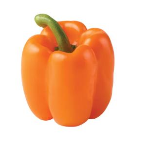 Orange Bell Pepper - Each
