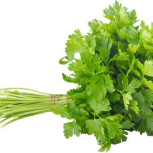 Cilantro(coriander,dhana) - Bunch