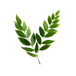 Curry Leaves Bag - Bag